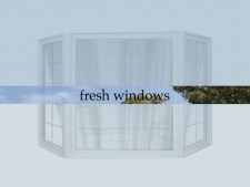 http://www.maureenconnor.net/files/gimgs/th-17_fresh_windows.jpg